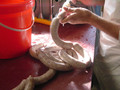 Saucisses