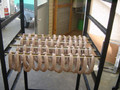 Saucisses
