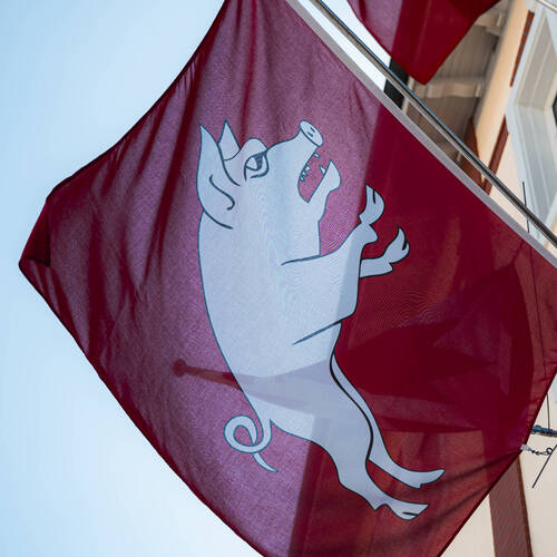 Drapeau de la commune