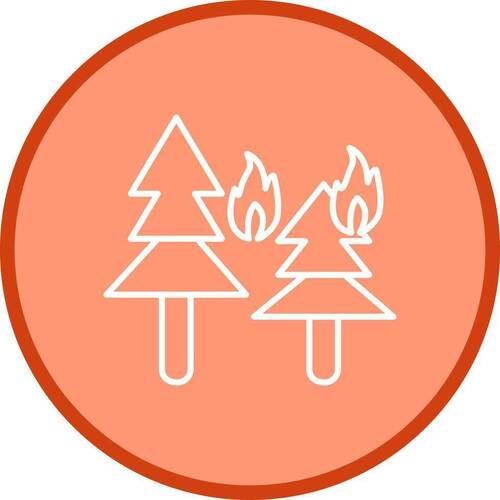Feux de forêt